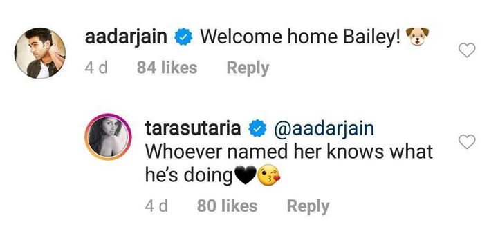 Aadhar Jain and Tara Sutaria's comment on her Instagram post (Source: Instagram | @tarasutaria)