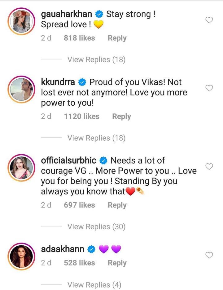 Comments on Vikas Gupta's Instagram post (Source: Instagram | @lostboyjourney)