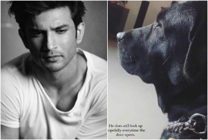 Sushant Singh Rajput’s Niece Shares A Video Of His Dog Fudge