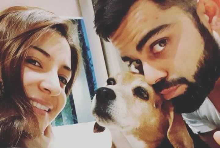 Virat Kohli And Anushka Sharma Mourn The Loss Of Their Pet Bruno