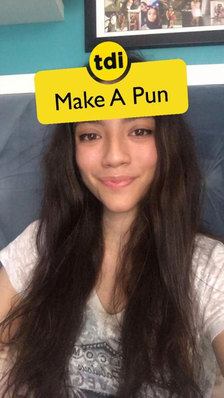 Make A Pun