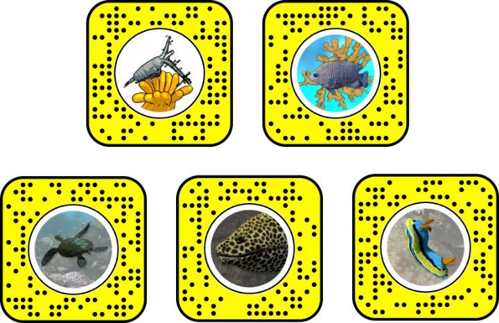 Snapchat Lens 
