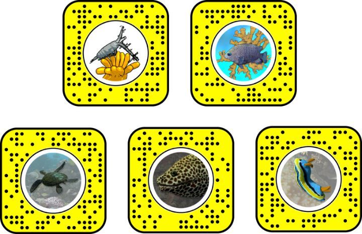 Snapchat Lens