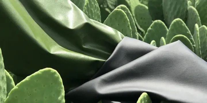 Vegan cactus leather | www.desserto.com.mx