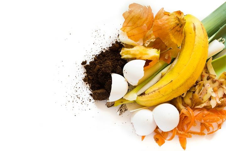 Food Waste (Image courtesy :Shutterstock)