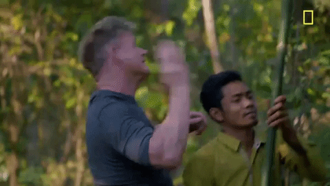 Gordon Ramsay Bug GIF by National Geographic Channel - Find & Share on GIPHY