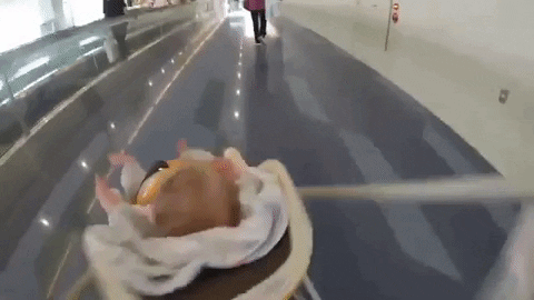 Drifting Tokyo Airport GIF by Idea Distribution LLC - Find & Share on GIPHY