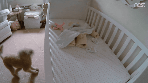 Snuggle Up Nest Cam GIF by Nest - Find & Share on GIPHY