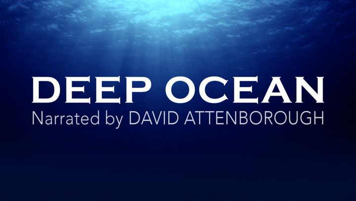 Deep Ocean by David Attenborough (Source: CuriosityStream)