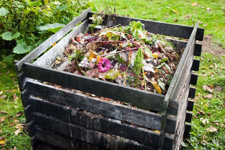 Compost bin in the garden. By Evan Lorne | www.shutterstock.com