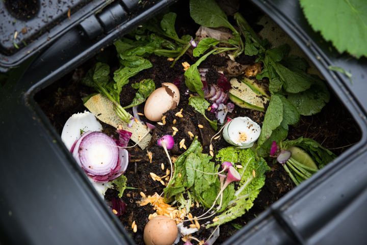 Compost bin with food scraps and grass cuttings. By Anna Hoychuk | www.shutterstock.com