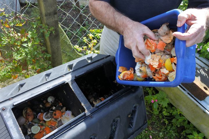 Emptying a container full of domestic food waste, ready to be composted in the home garden. By ChameleonsEye | www.shutterstock.com