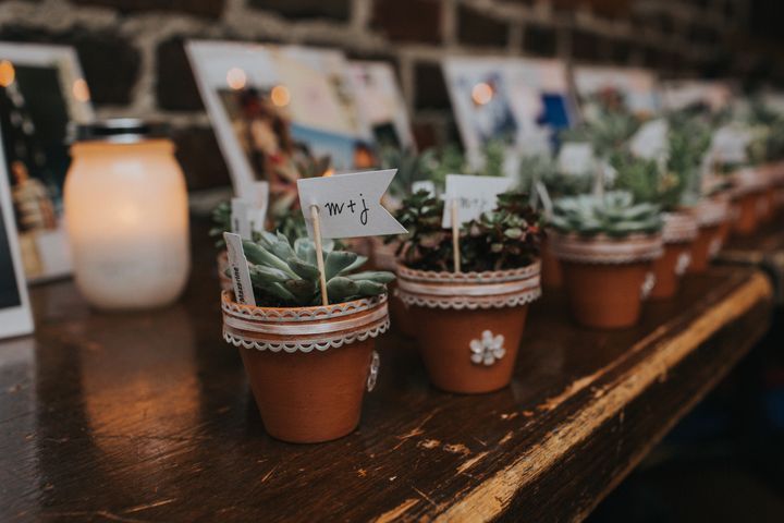 Plant Favors By AlexandriaBryjak | www.shutterstock.com