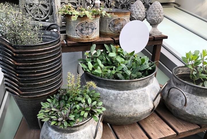 Indoor Planters By GIOIA PHOTO | www.shutterstock.com