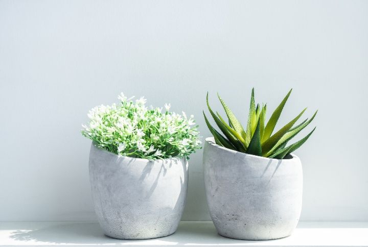 Indoor Planters By tete_escape | www.shutterstock.com