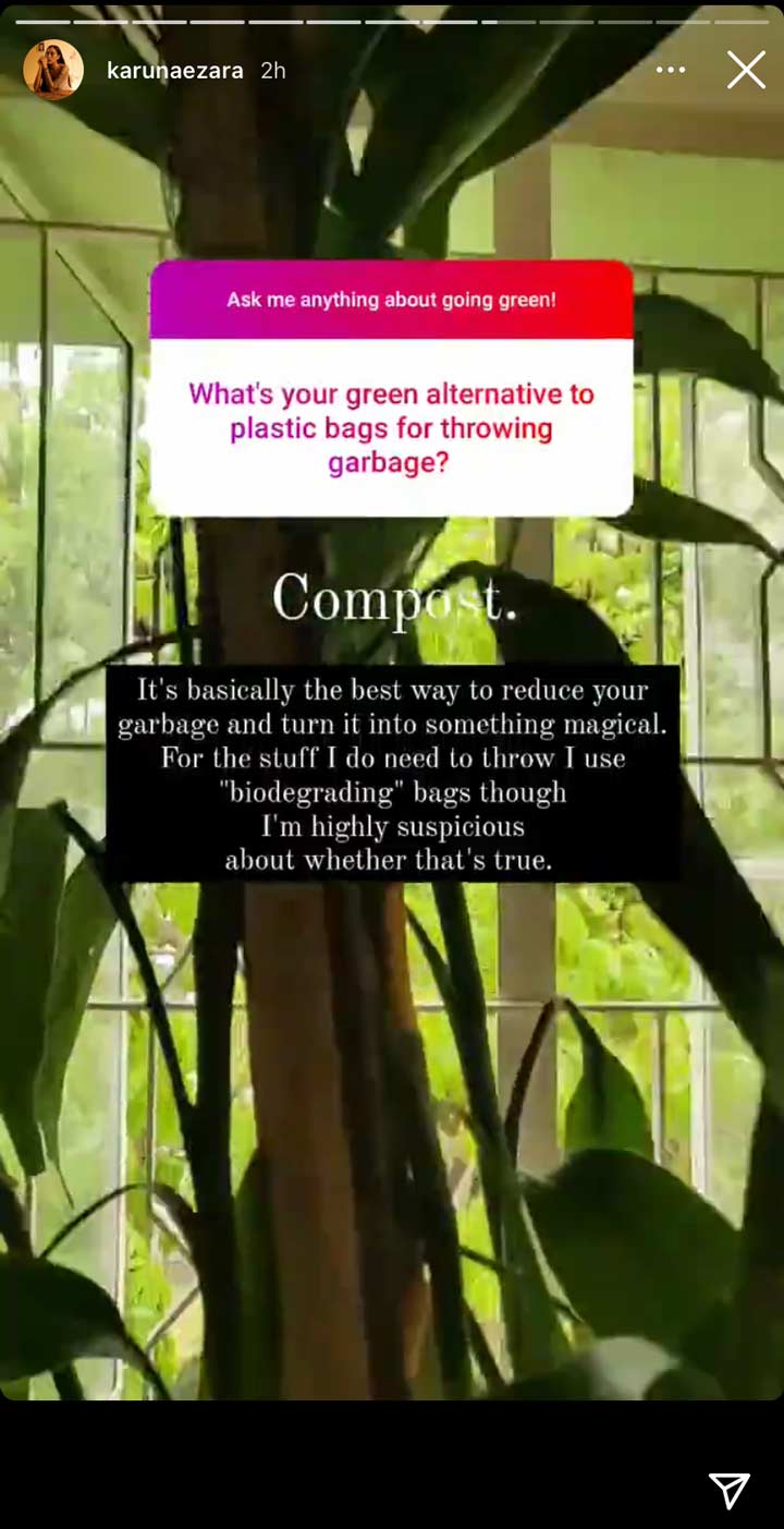 Karuna Ezara Parikh's AMA on Going Green | (Source: Instagram | @karunaezara)