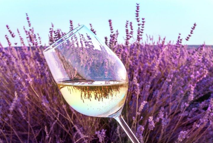 Wine glass By Plateresca | www.shutterstock.com