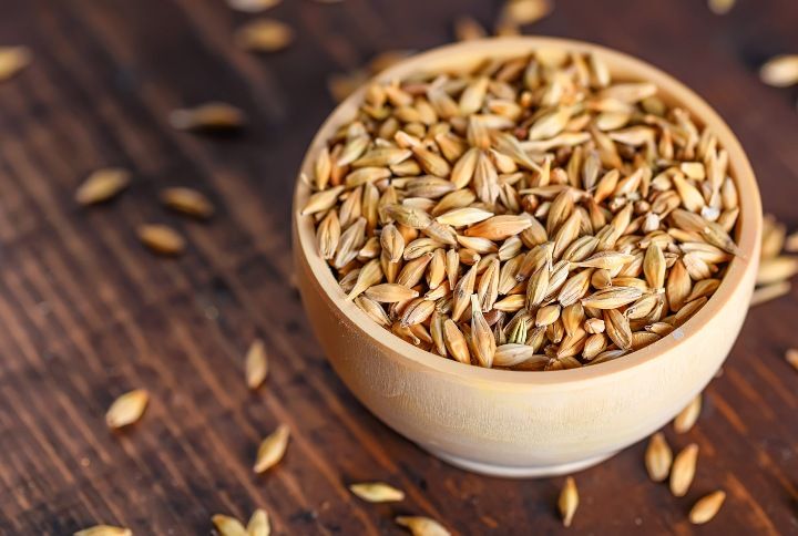 Barley Grain By Greentellect Studio | www.shutterstock.com