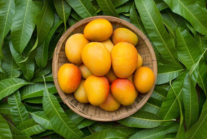 7 Mango Desserts You Can Make At Home Before The Mango Season Ends