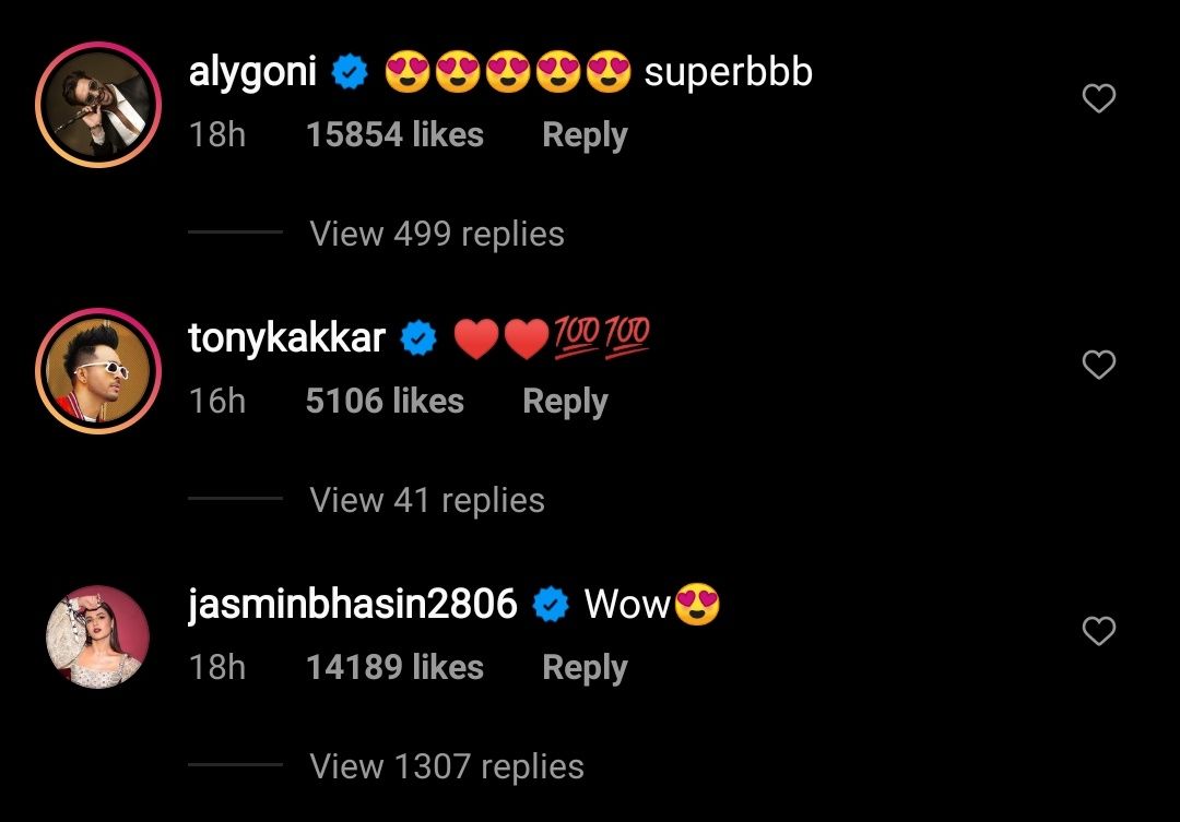 Aly Goni and Jasmin Bhasin's comment on Rubina Dilaik's Post
