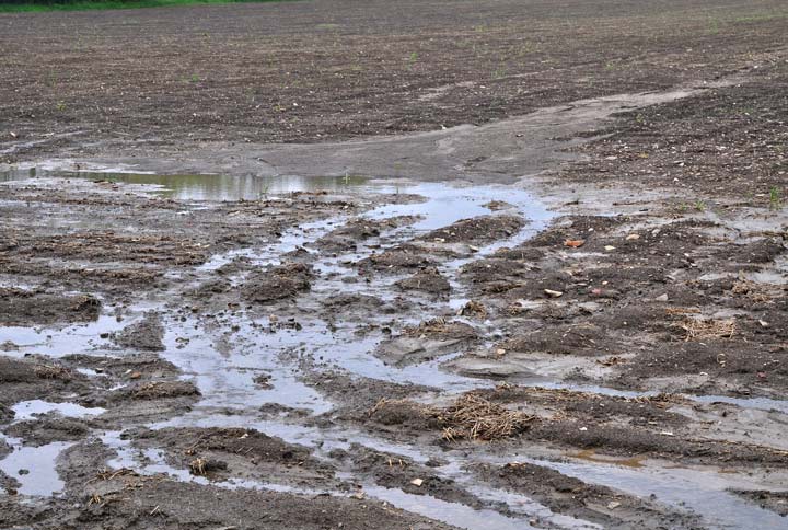 Soil-Eroded Land by Meryll | www.shutterstock.com