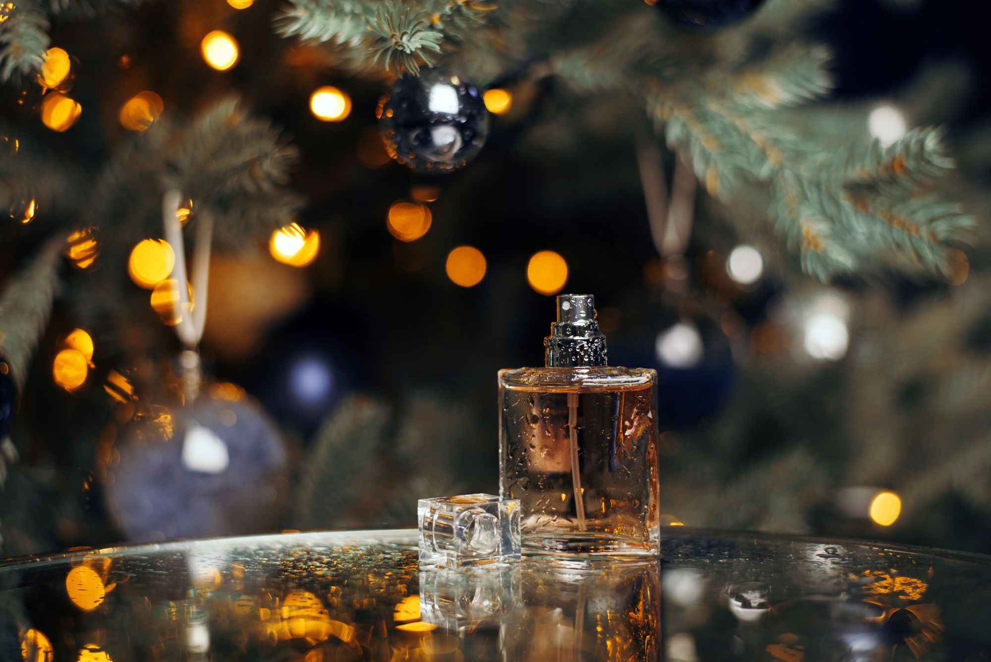 Dreamy Scents That Will Have Everyone Enchanted This Christmas