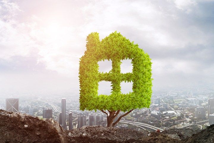7 Ways To Make Your Home Sustainable & Eco-Friendly
