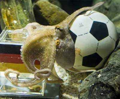 It’s Waka Waka all the way for Paul the Psychic Octopus!