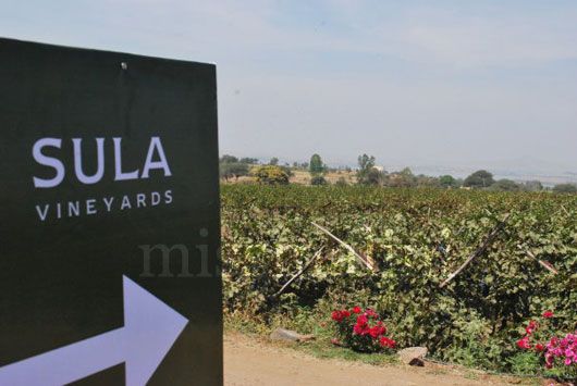 Sula Vineyards, Nassik (photo courtesy: Sunny Khedkar)