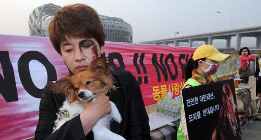Protestors outside the Fendi Show, Seoul (picture credit:korean herald) Protestors outside the Fendi Show, Seoul (picture credit:korean herald)