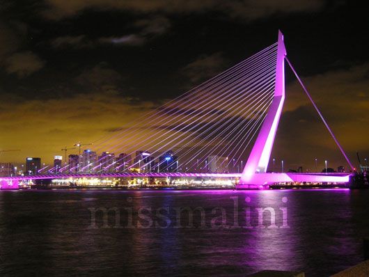 Erasmus Bridge, Rotterdam, The Netherlands