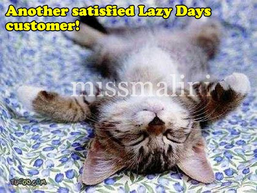 lazy kitty