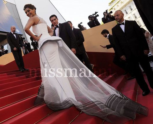 Sonam Kapoor attends "The Artist" premiere on May 15, 2011 (Picture credit:ANNE-CHRISTINE POUJOULAT/AFP/Getty Images )