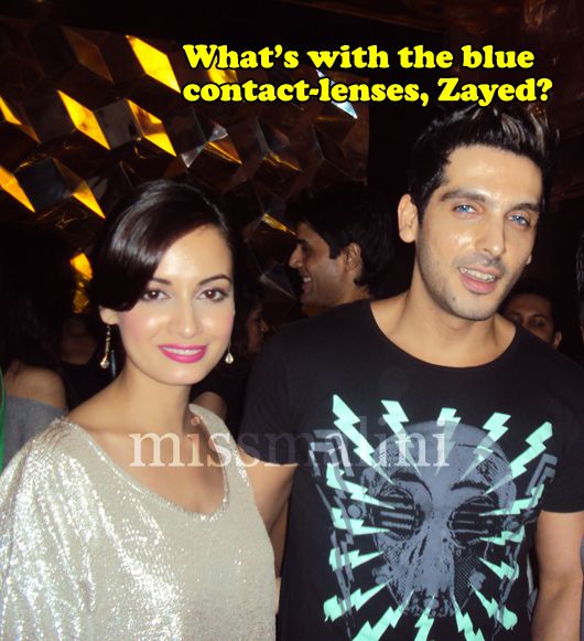 Dia Mirza and Zayed Khan