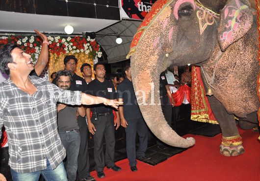 Akshay Kumar contemplating sitting on the elephant