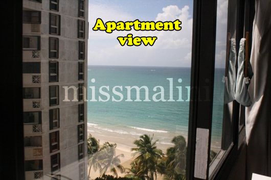 Apartment View