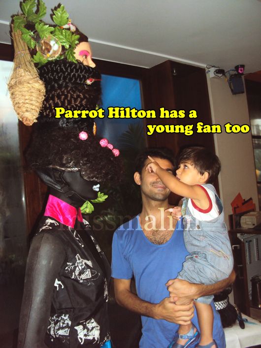 Parrot Hilton's youngest fan
