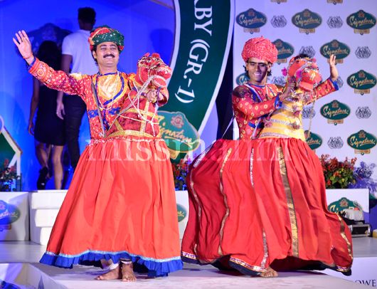 Rajasthani folk Performance