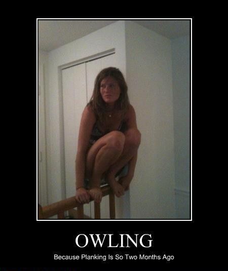 Are You Planking Or Owling?