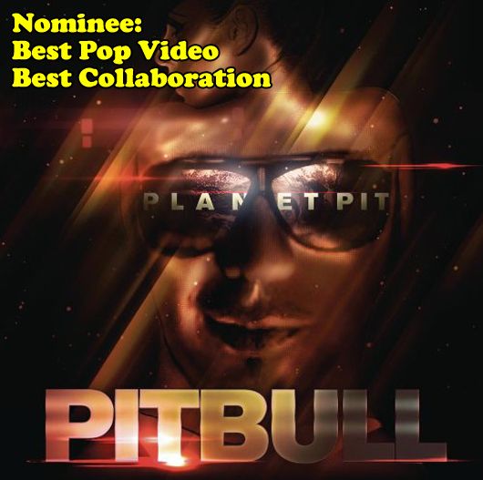 Pitbull Pitbull