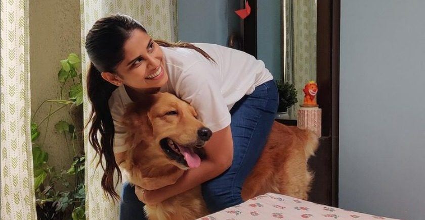 Our Learnings From Sony Liv&#8217;s Pet Puraan &#038; 5 Reasons Why You Should Adopt Pets