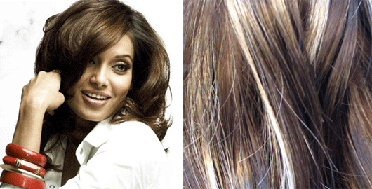 Top-of-the-Head Hair Color Trends for 2010 | MissMalini