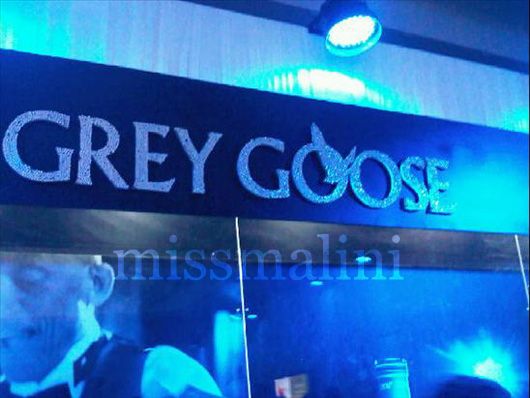 Grey Goose lounge