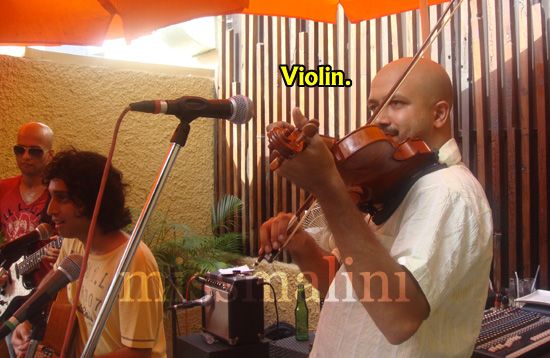 violin, check.
